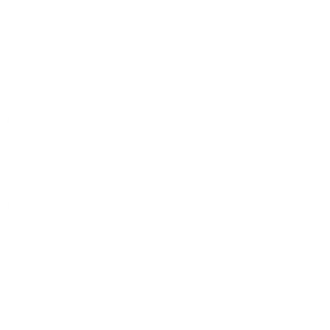 big-y