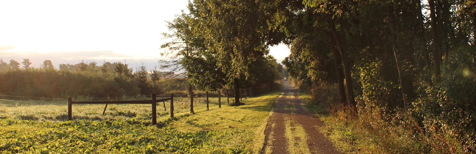 Our Farms
