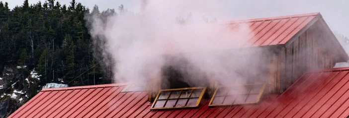 new hampshire sugar shack with steam rising during maple season